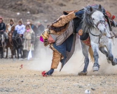 Perfect balance of man and horse