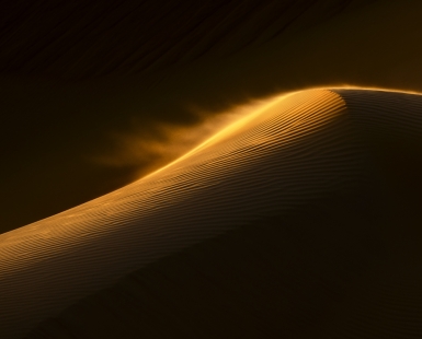 The Dune
