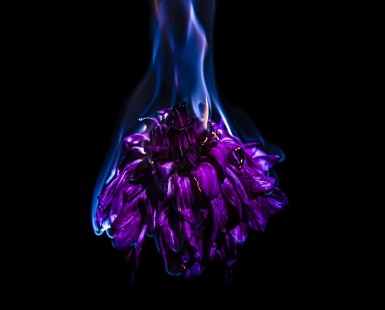 Flare