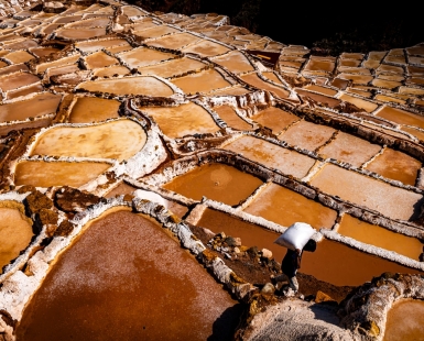Salt of the Earth