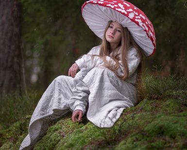 Silence Beneath the Toadstool