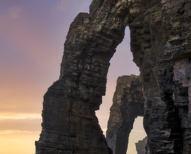 The cathedrals of the sea