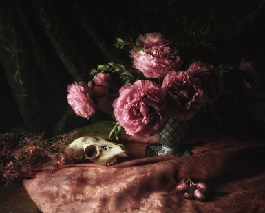 The peonies