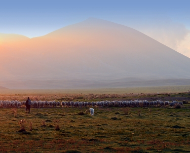 New day is born