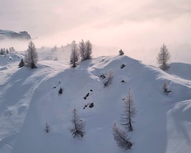 Snow like flour in a timeless landscape