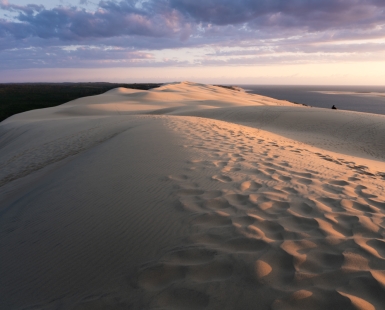 Sandwalk
