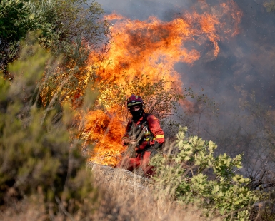 Forest fires in León, Spain