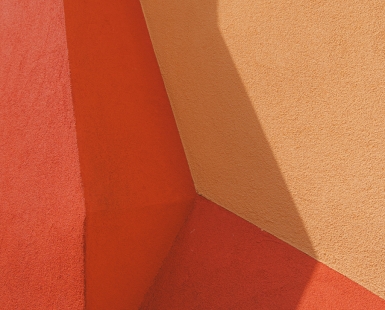 Color is life 