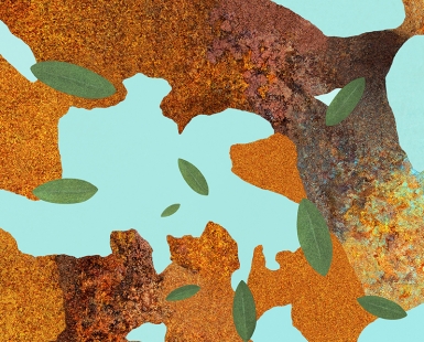 Blue Sky, Brown Earth, Green Leaves;  Overlay of Rusted Iron and Chipped Green Wall