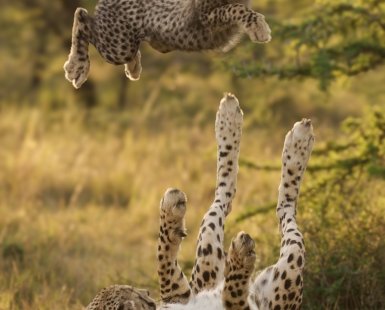 Catch me Mom!