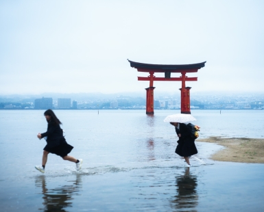 on the sea & torii