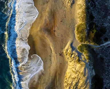 ELEMENTS