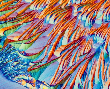 The crystals of amino acids
