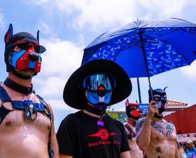 Pride Domination