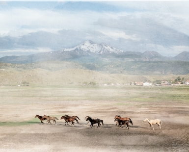 The Long Road Home