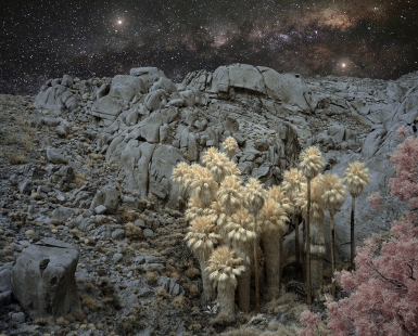 The Canyon's Family