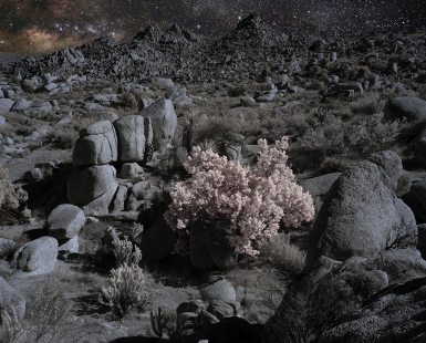 Borrego's Rocks