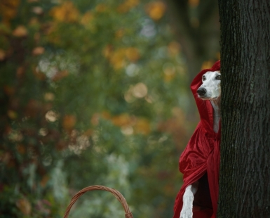 Little Red Riding Hood