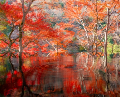 Painting of the Earth