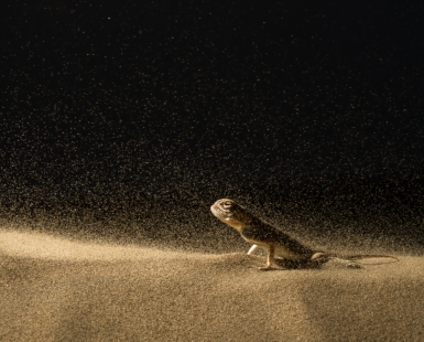 Against the Storm
