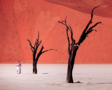 Desert Devotion