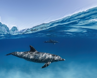 Beneath the Waves