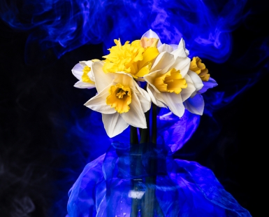 Narcissus of Smoke light