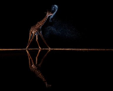 A Mouthful Of Stars