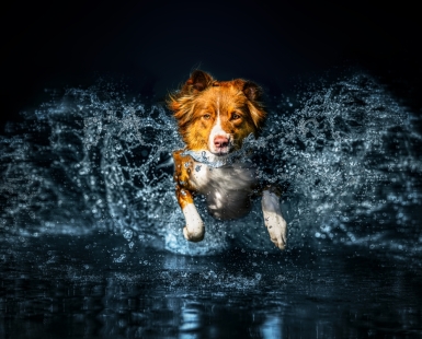 In the heart of the splash