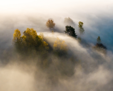 Fog in Beskid Sądecki