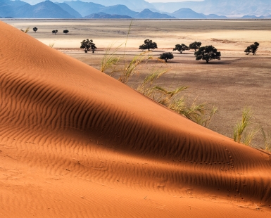 Namibia in a Nutshell