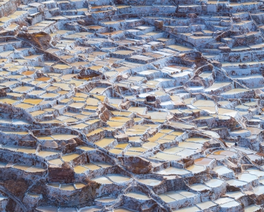  Maras Mosaic