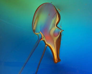 A New Species Comes Into the World