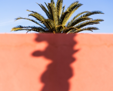 Orange Shadow