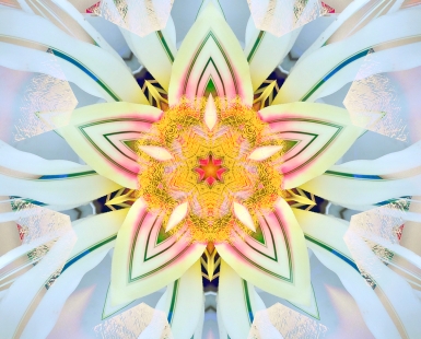 Holiday Flower Mandala